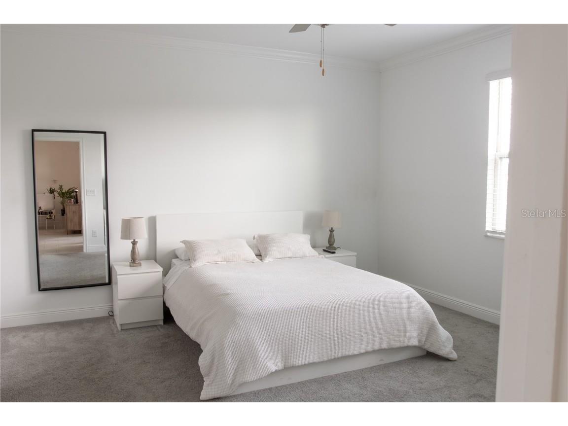 10125 Campanula Court Land O Lakes FL 34637 TB8450681 image13