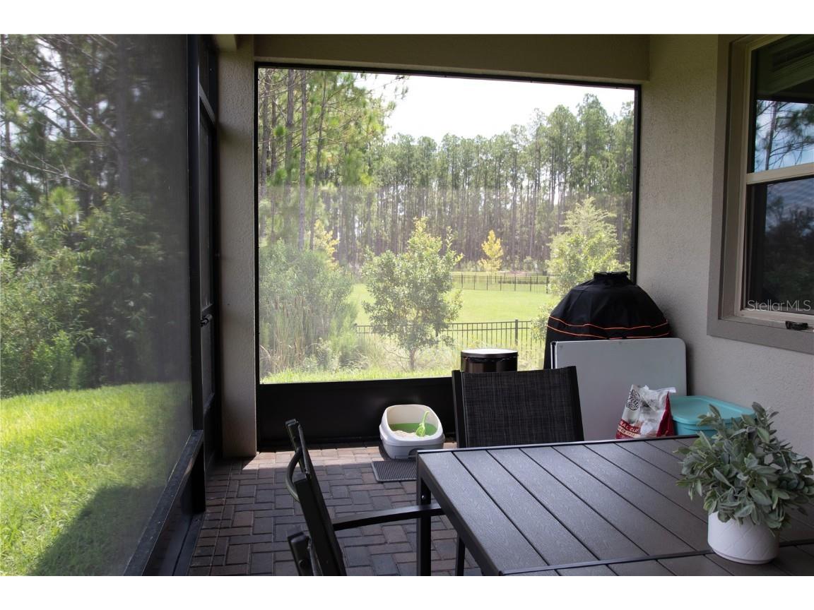 10125 Campanula Court Land O Lakes FL 34637 TB8450681 image18
