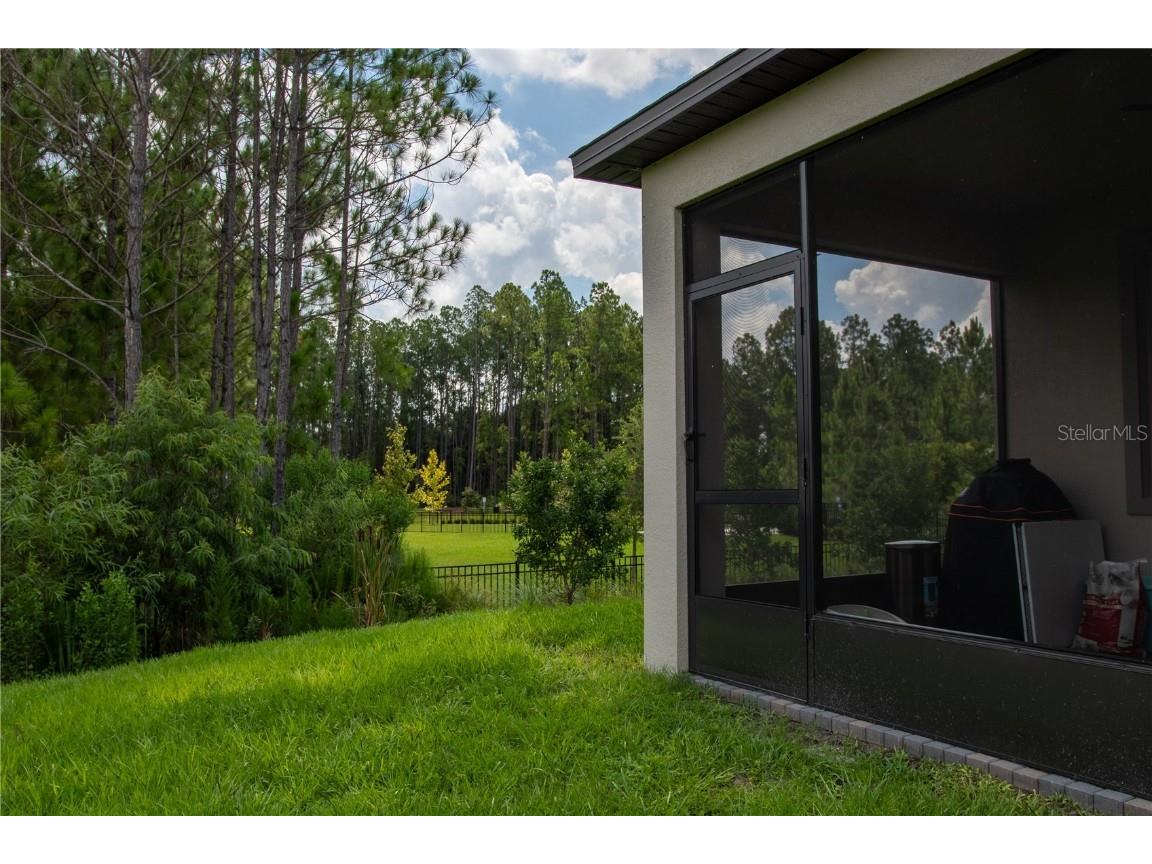 10125 Campanula Court Land O Lakes FL 34637 TB8450681 image19