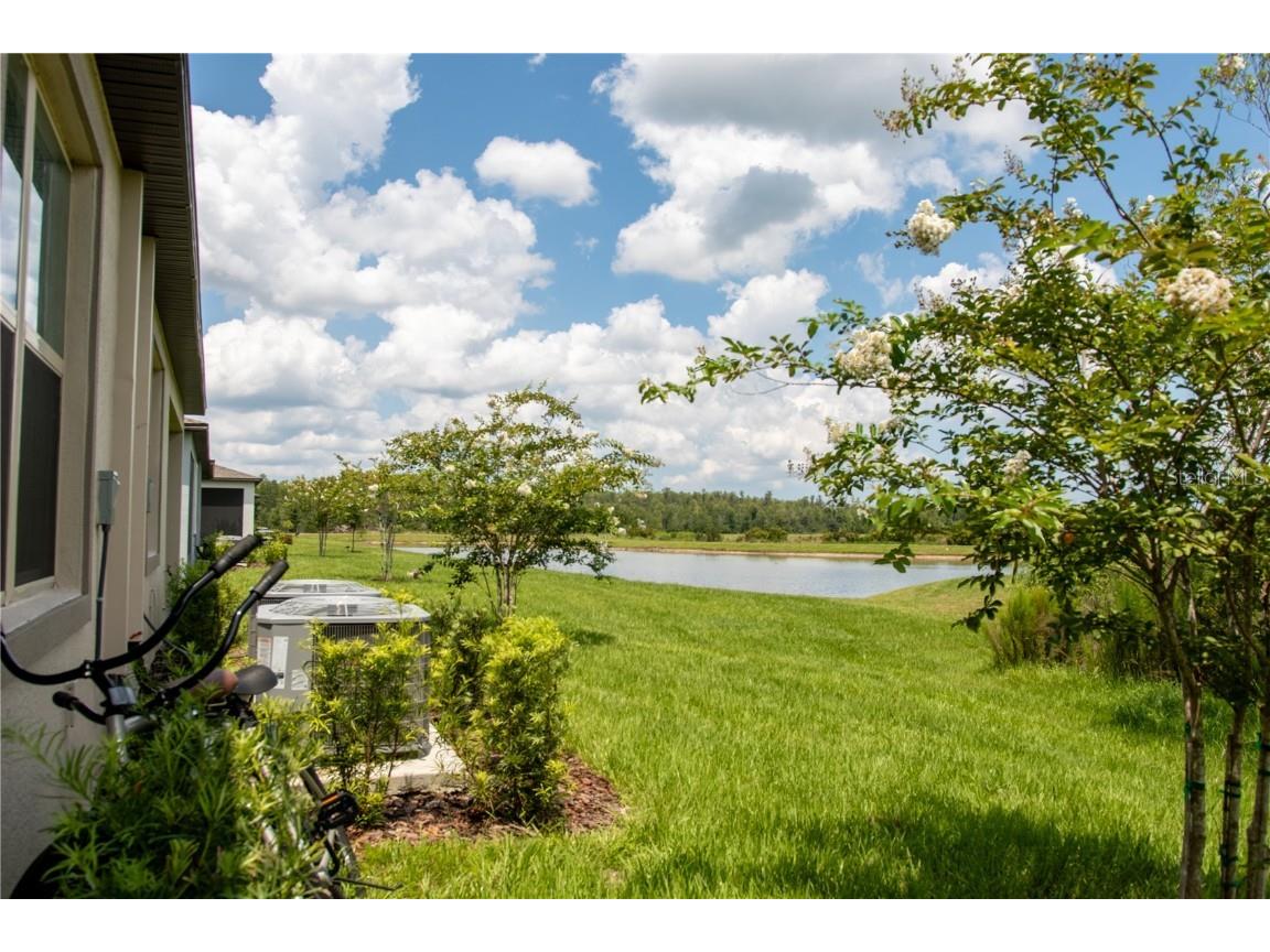 10125 Campanula Court Land O Lakes FL 34637 TB8450681 image20