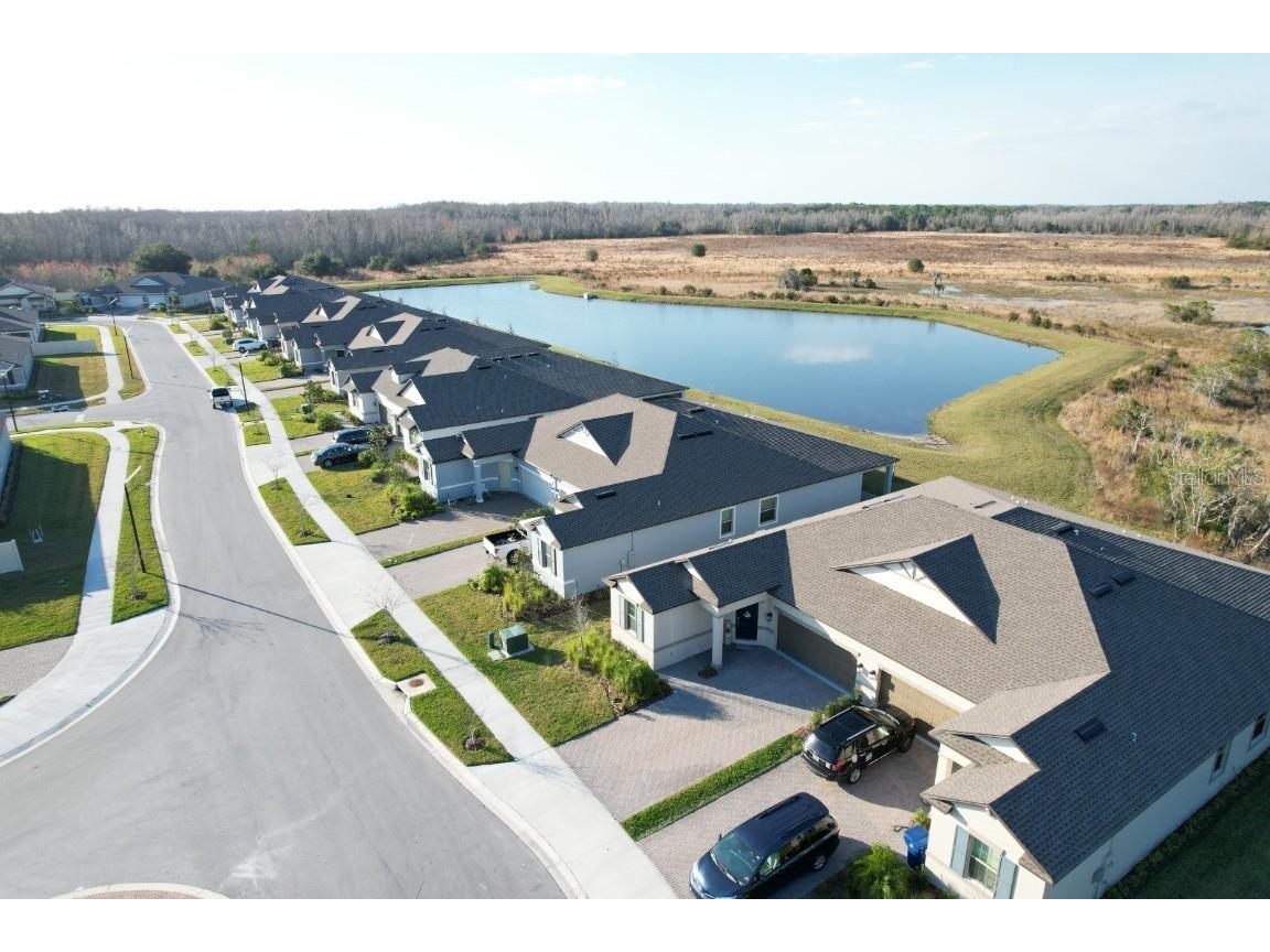 10125 Campanula Court Land O Lakes FL 34637 TB8450681 image21