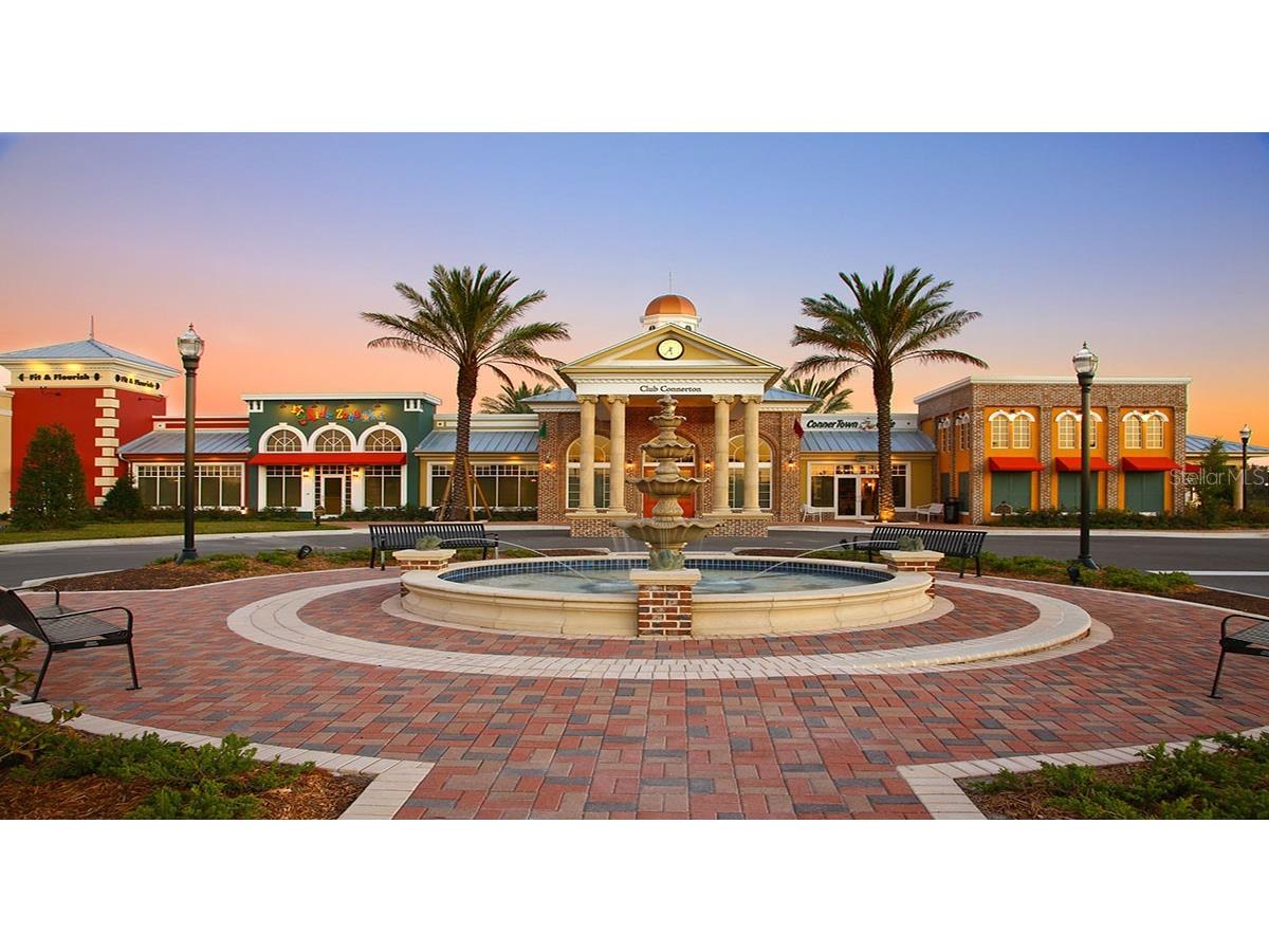 10125 Campanula Court Land O Lakes FL 34637 TB8450681 image22