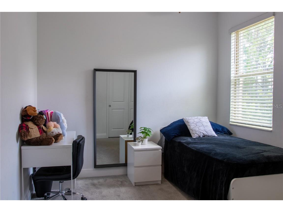 10125 Campanula Court Land O Lakes FL 34637 TB8450681 image5