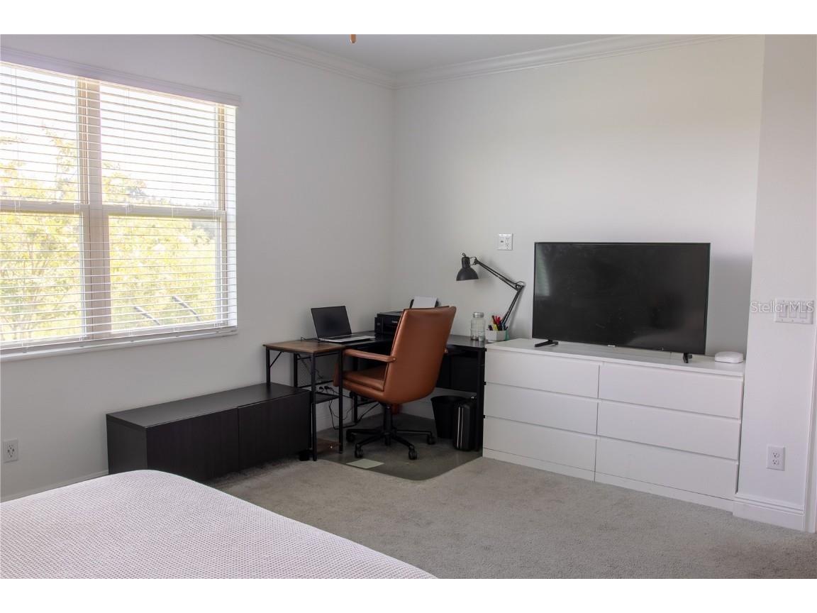 10125 Campanula Court Land O Lakes FL 34637 TB8450681 image6