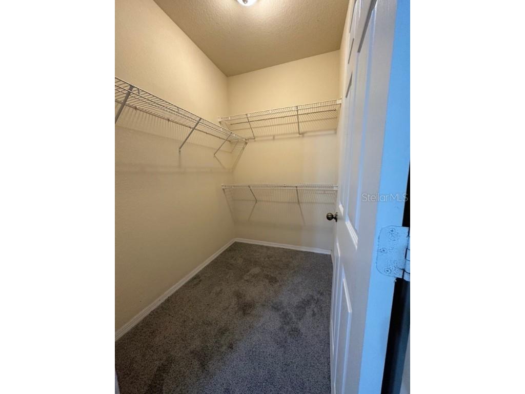 10125 Courtney Palms Boulevard #303 Tampa FL 33619 TB8420856 image10