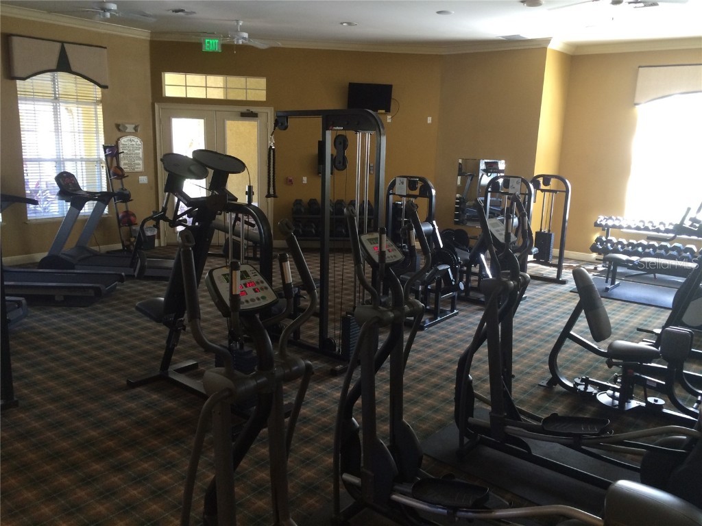 10125 Courtney Palms Boulevard #303 Tampa FL 33619 TB8420856 image18