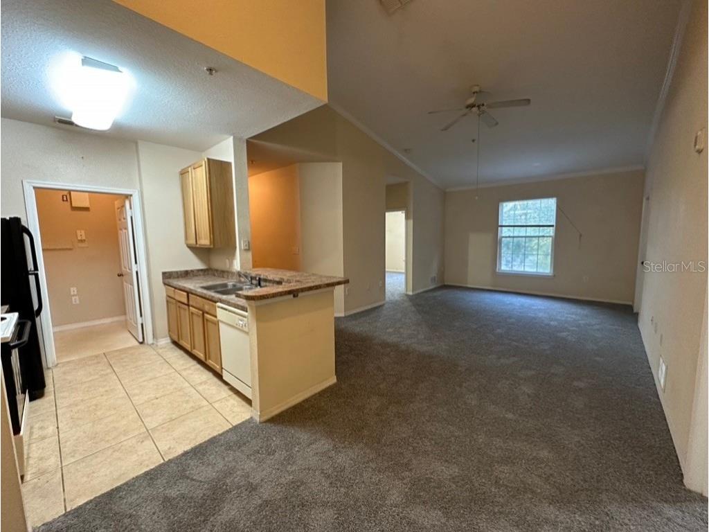 10125 Courtney Palms Boulevard #303 Tampa FL 33619 TB8420856 image5