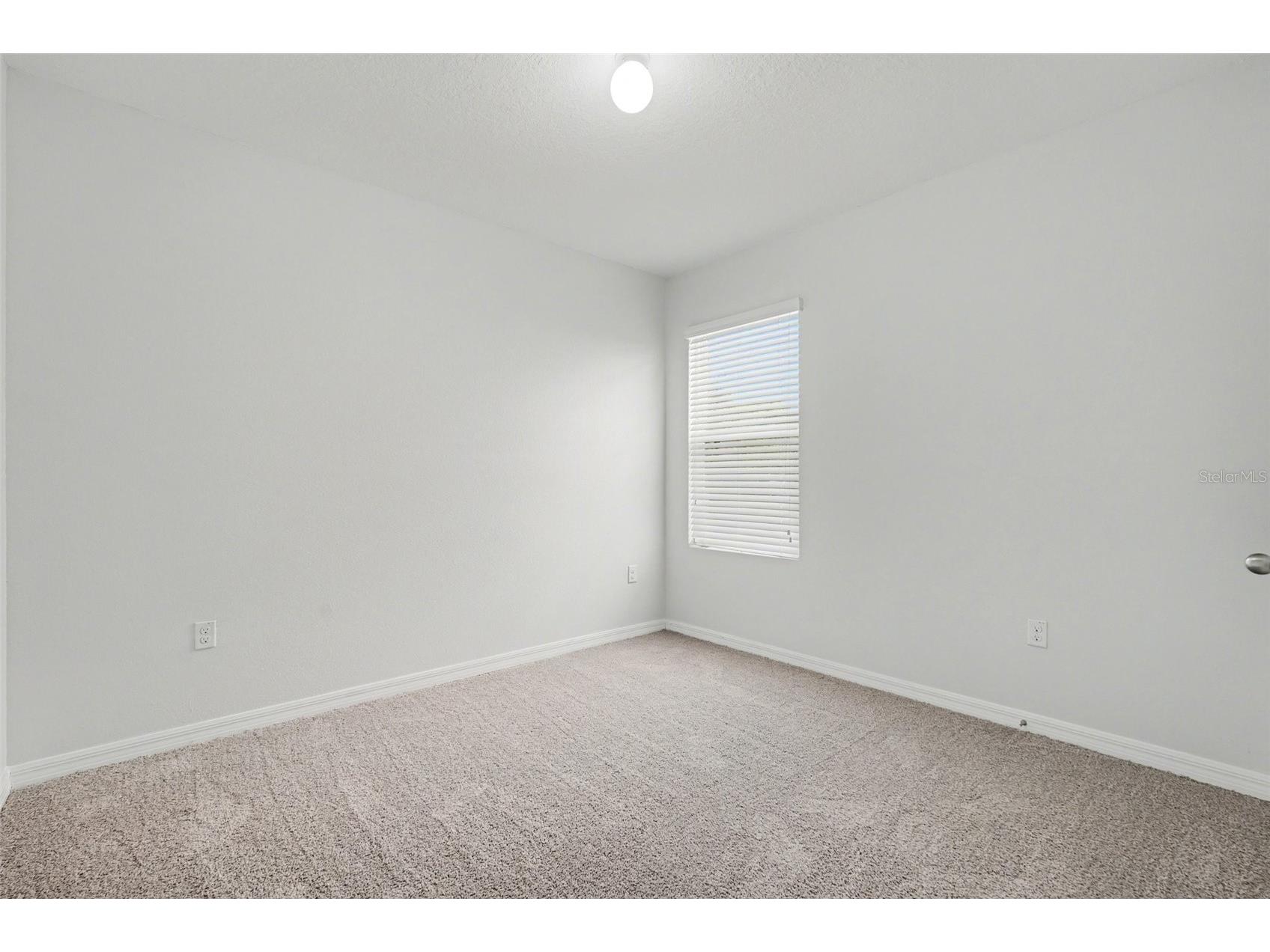 10125 Hawk Storm Avenue Tampa FL 33610 TB8490210 image20