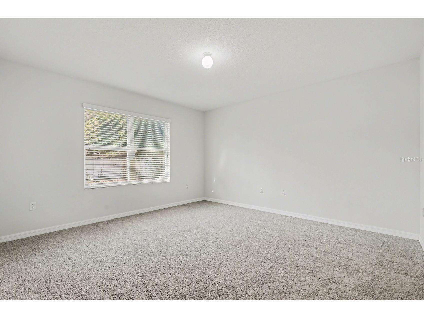 10125 Hawk Storm Avenue Tampa FL 33610 TB8490210 image24