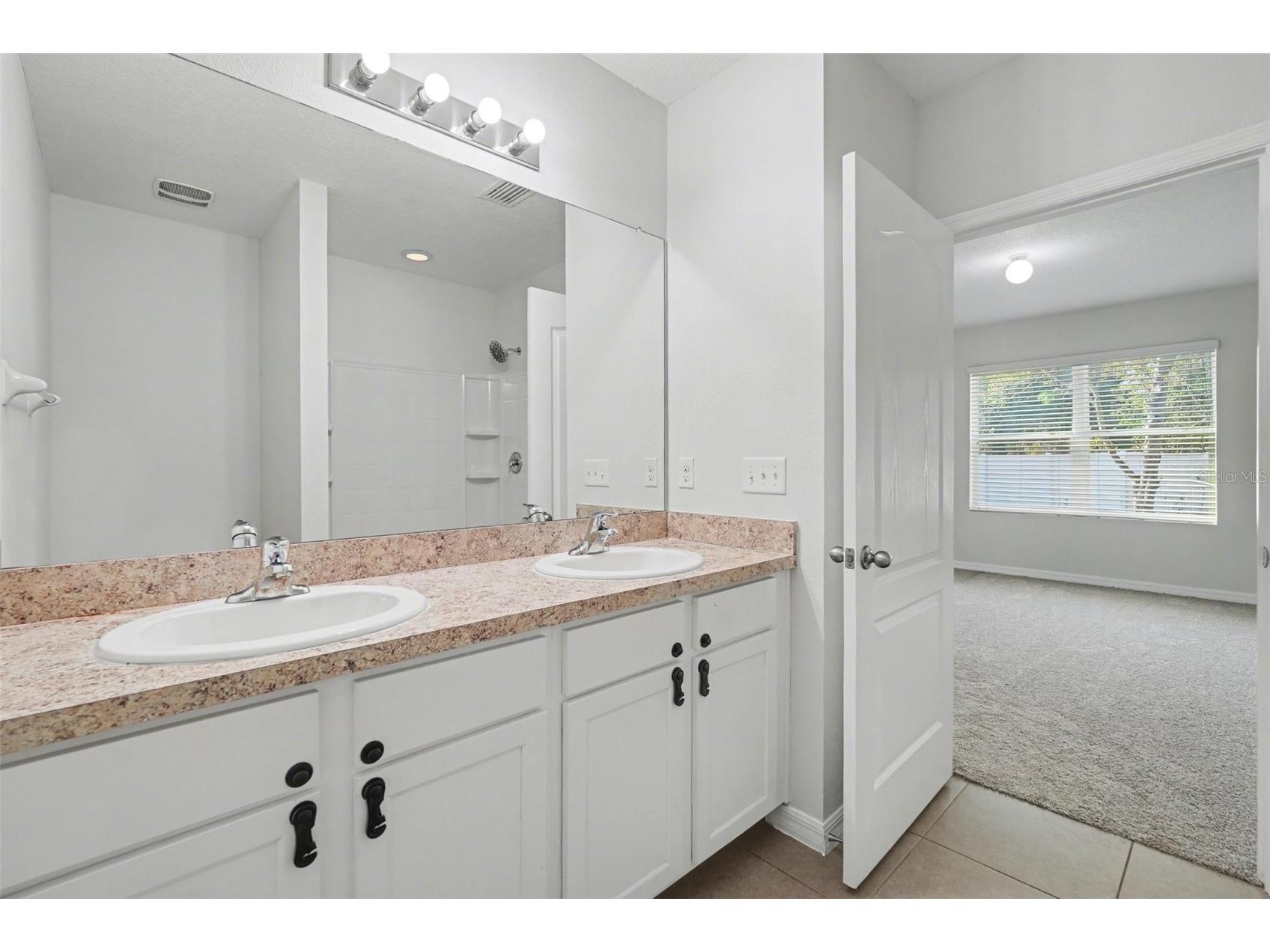 10125 Hawk Storm Avenue Tampa FL 33610 TB8490210 image28