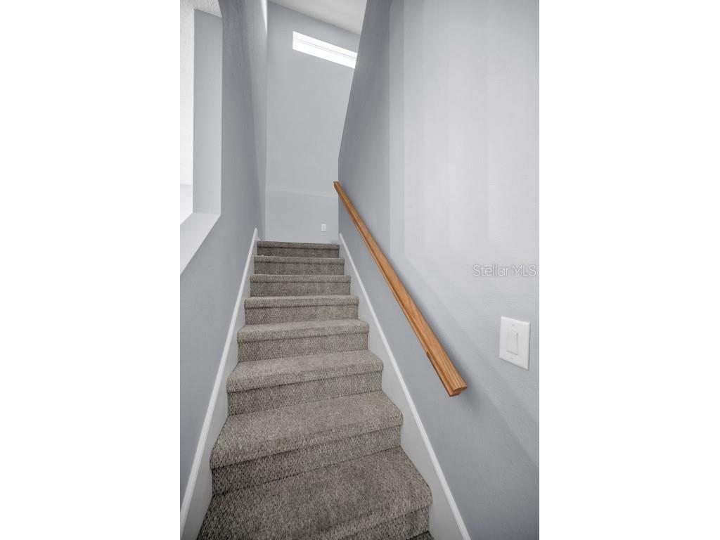 10125 Palladio Drive New Port Richey FL 34655 TB8453715 image39