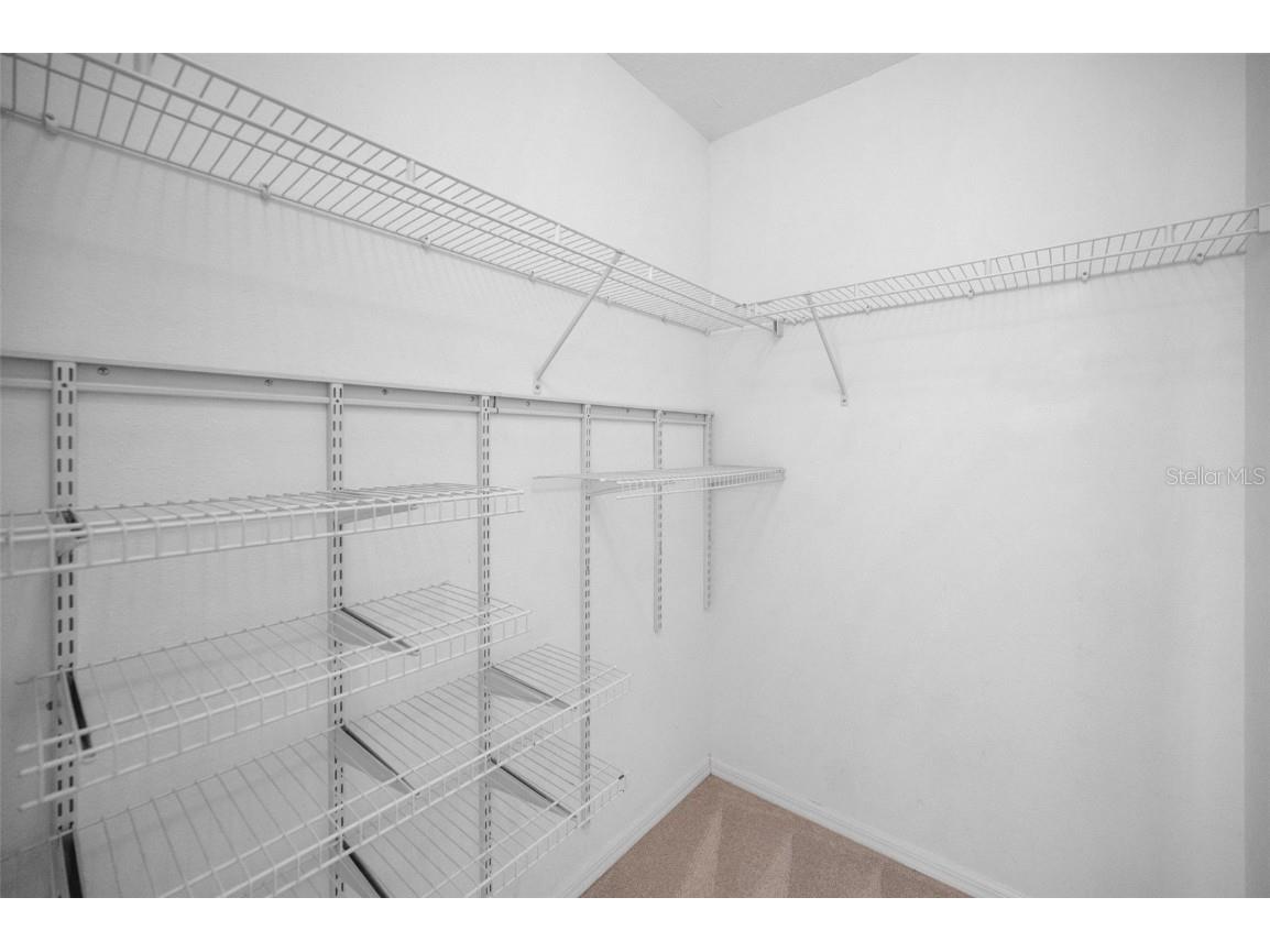 10125 Palladio Drive New Port Richey FL 34655 TB8453715 image47