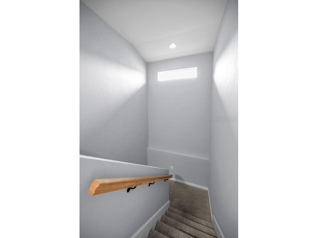 10125 Palladio Drive New Port Richey FL 34655 TB8453715 image51