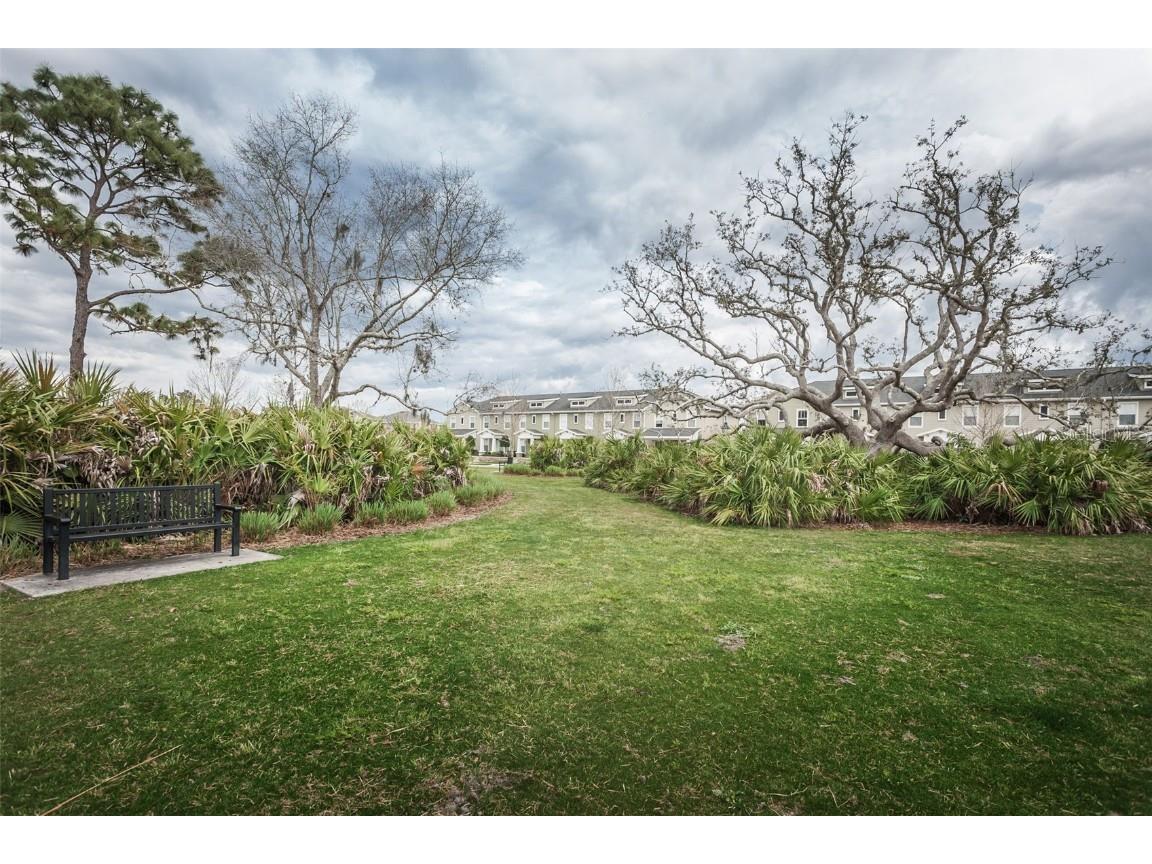 10125 Palladio Drive New Port Richey FL 34655 TB8453715 image76