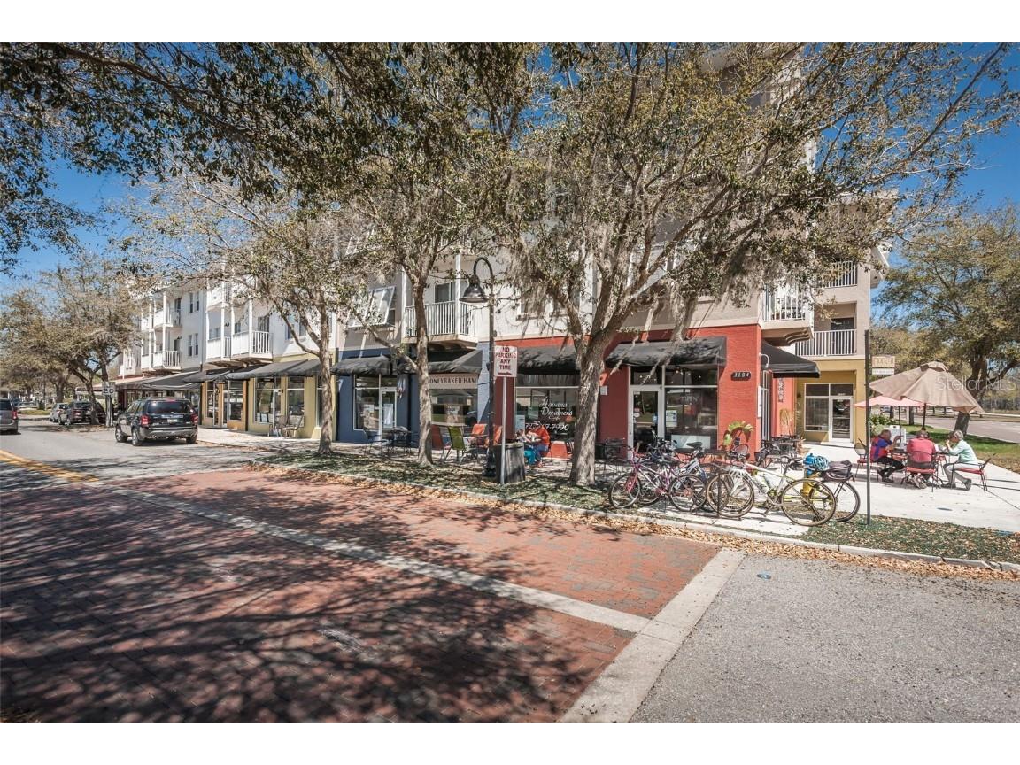 10125 Palladio Drive New Port Richey FL 34655 TB8453715 image82