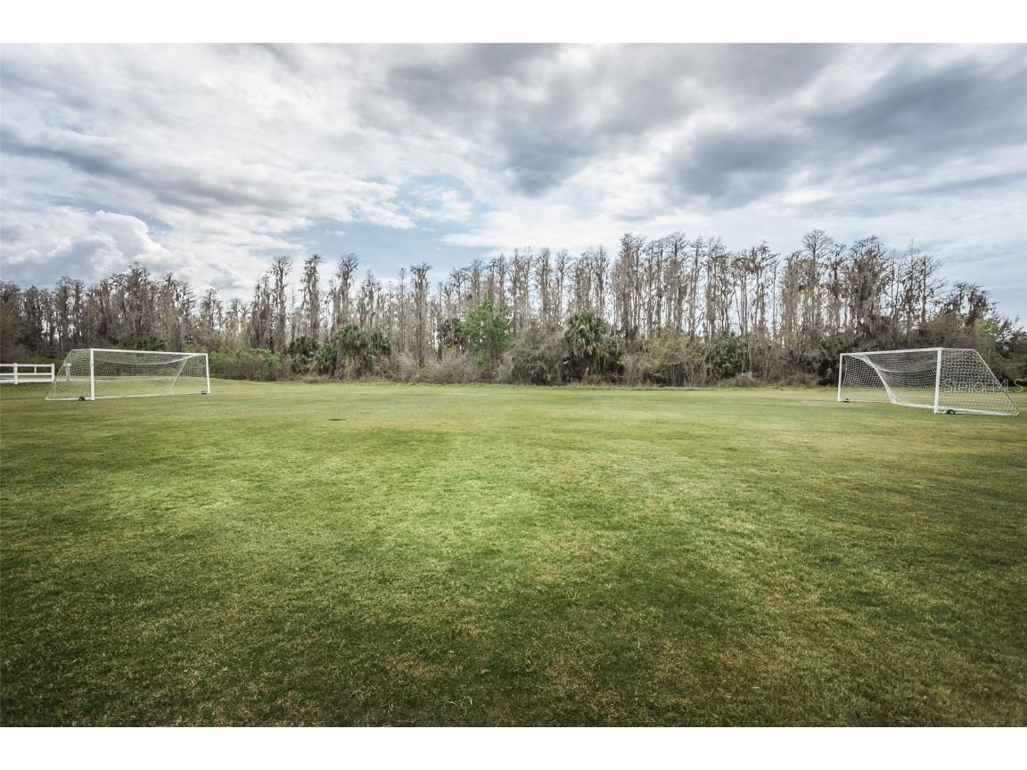 10125 Palladio Drive New Port Richey FL 34655 TB8453715 image89