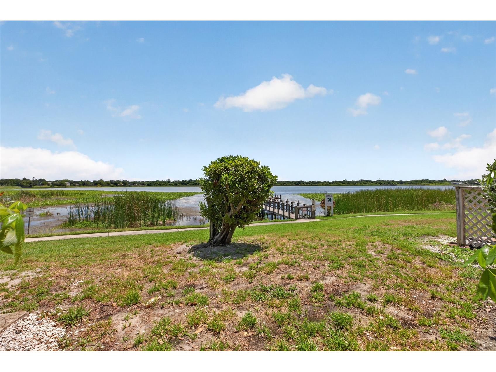 10125 Sailwinds Boulevard N #104 Largo FL 33773 TB8511166 image38