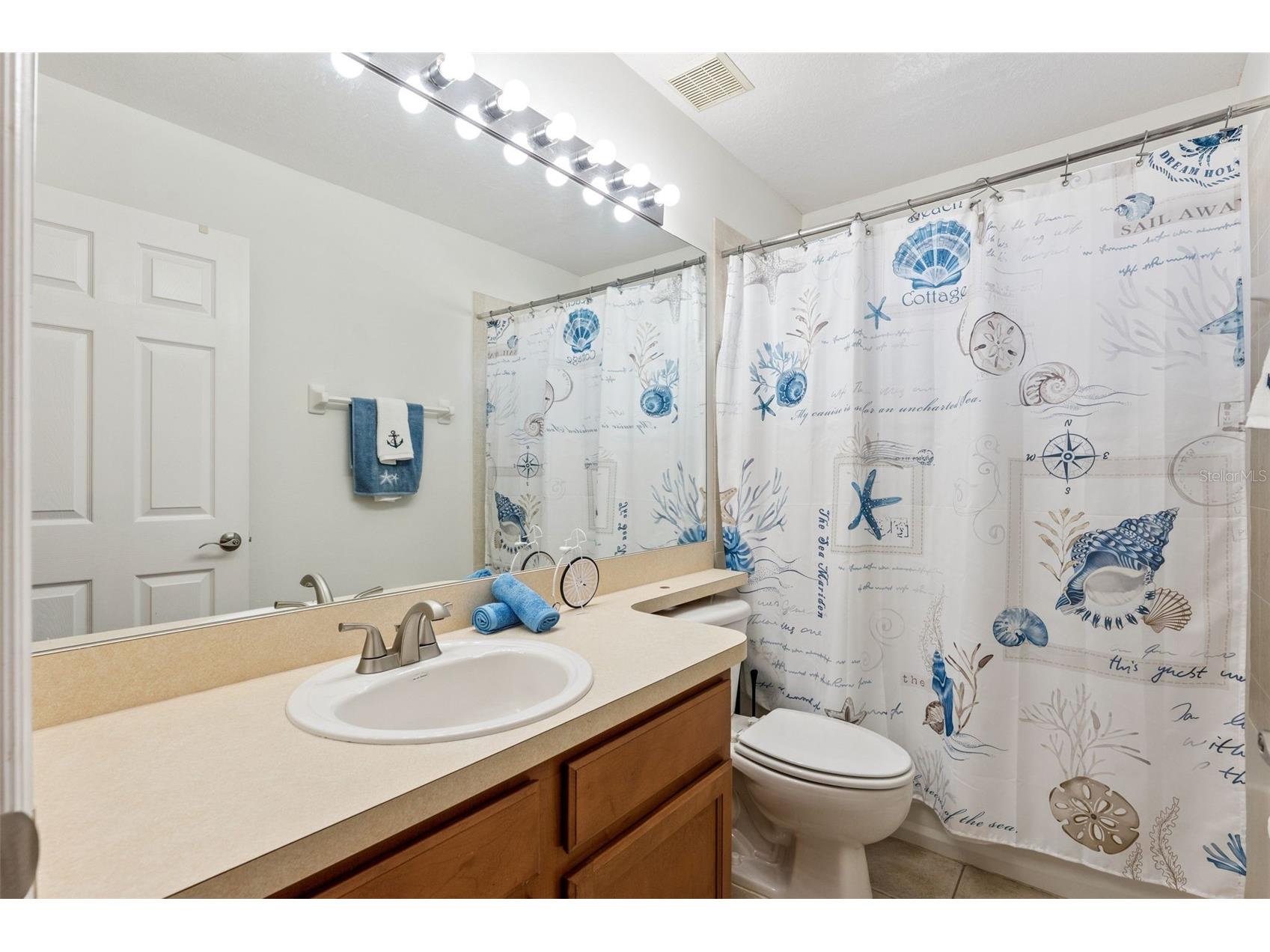 10125 Sandy Marsh Lane Orlando FL 32832 S5149542 image38