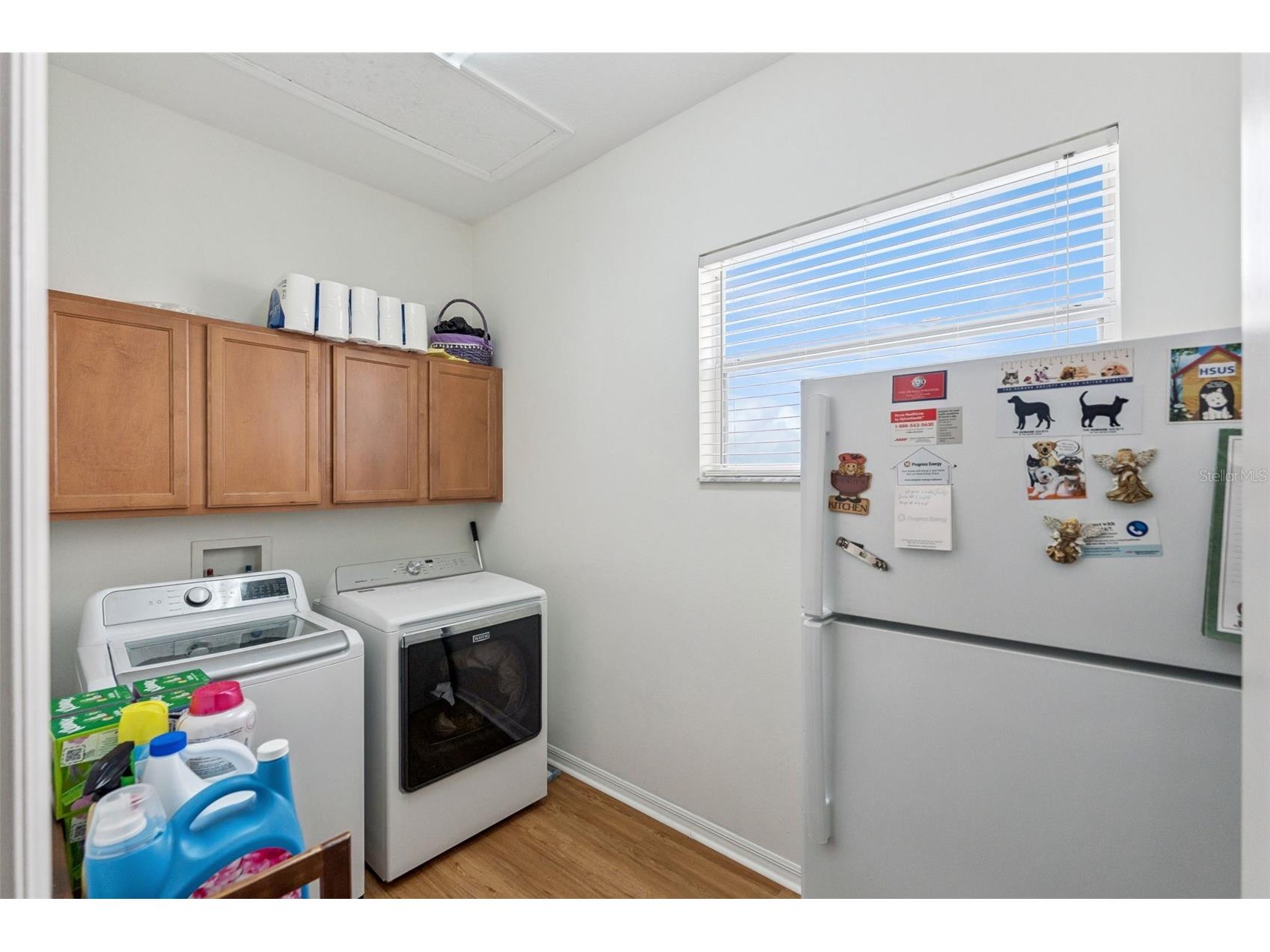 10125 Sandy Marsh Lane Orlando FL 32832 S5149542 image40