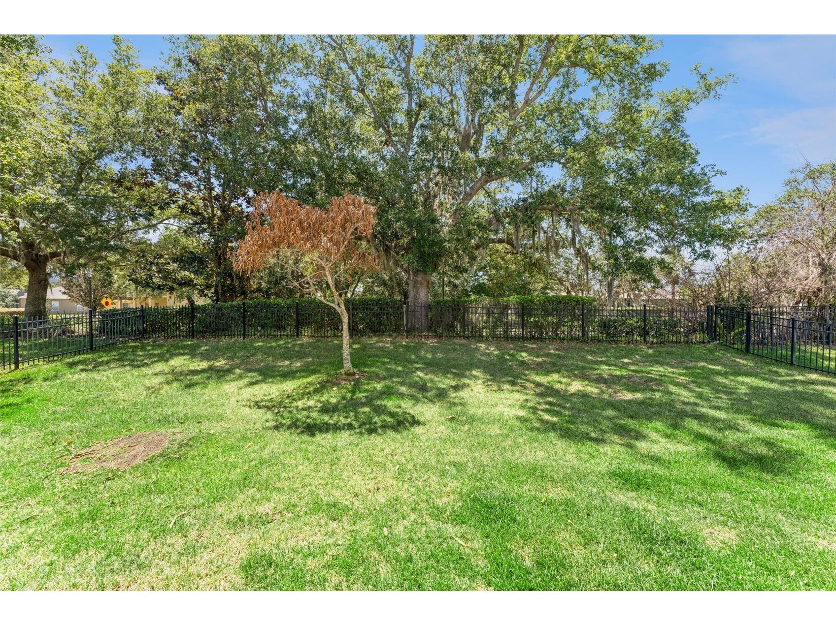 10125 Sandy Marsh Lane Orlando FL 32832 S5149542 image46