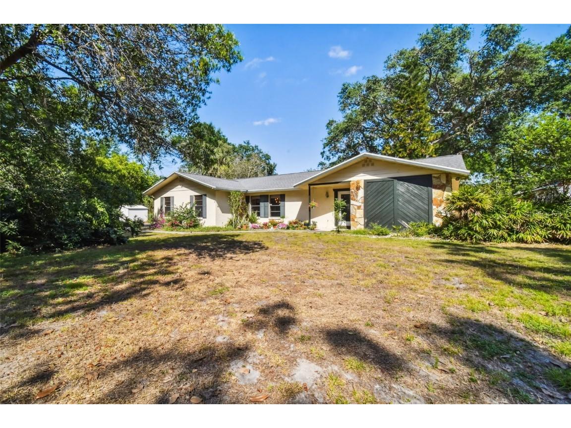10126 Bryant Road Lithia FL 33547 T3436102 image1