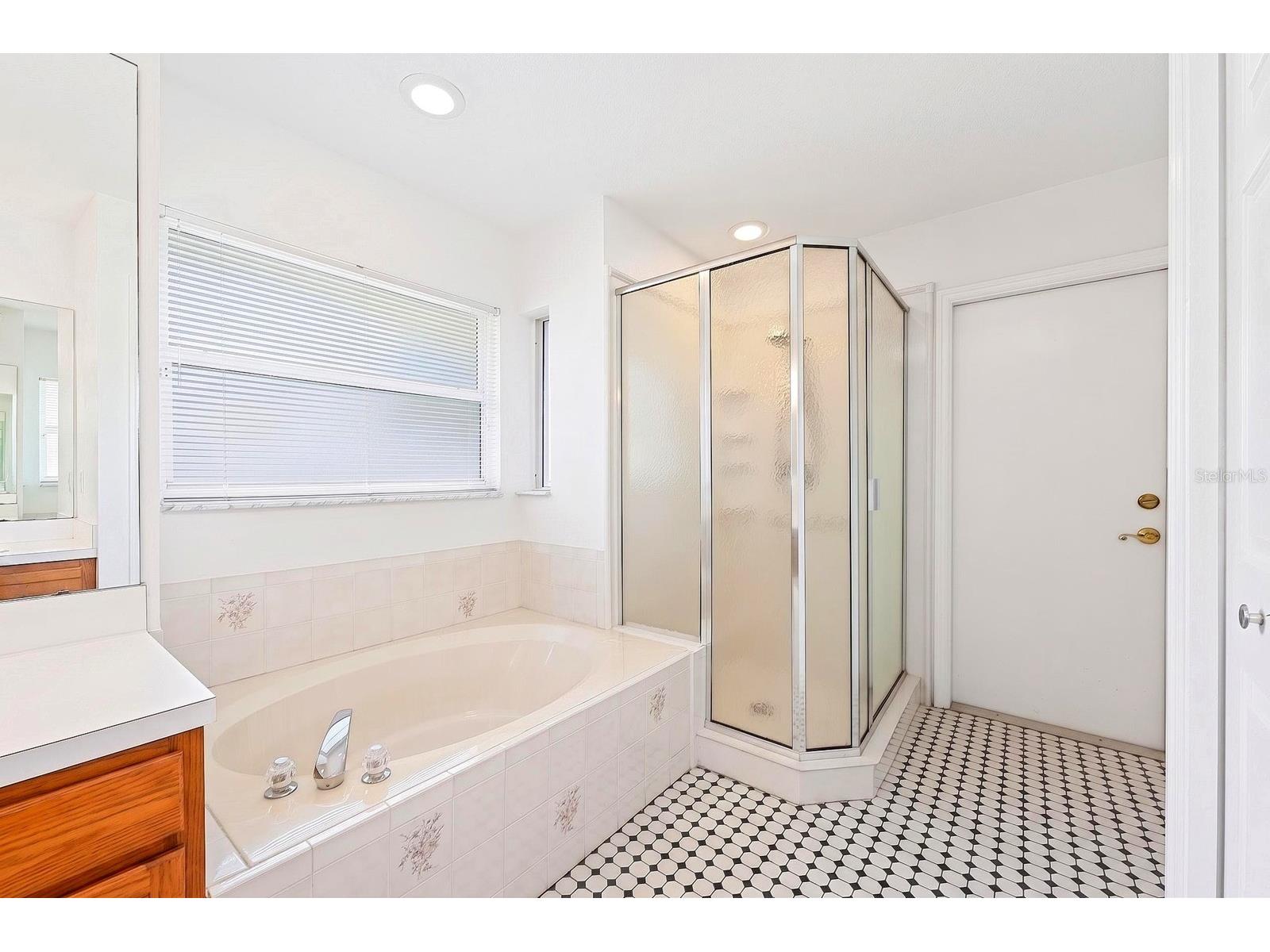 10126 Silver Bluff Drive Leesburg FL 34788 O6406927 image16