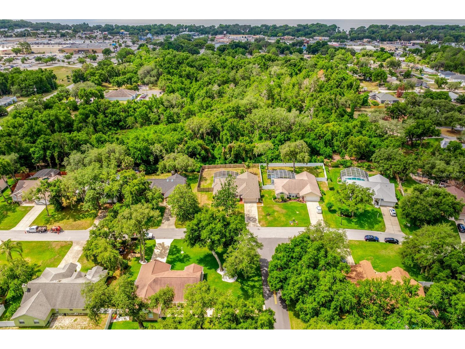 10126 Silver Bluff Drive Leesburg FL 34788 O6406927 image33