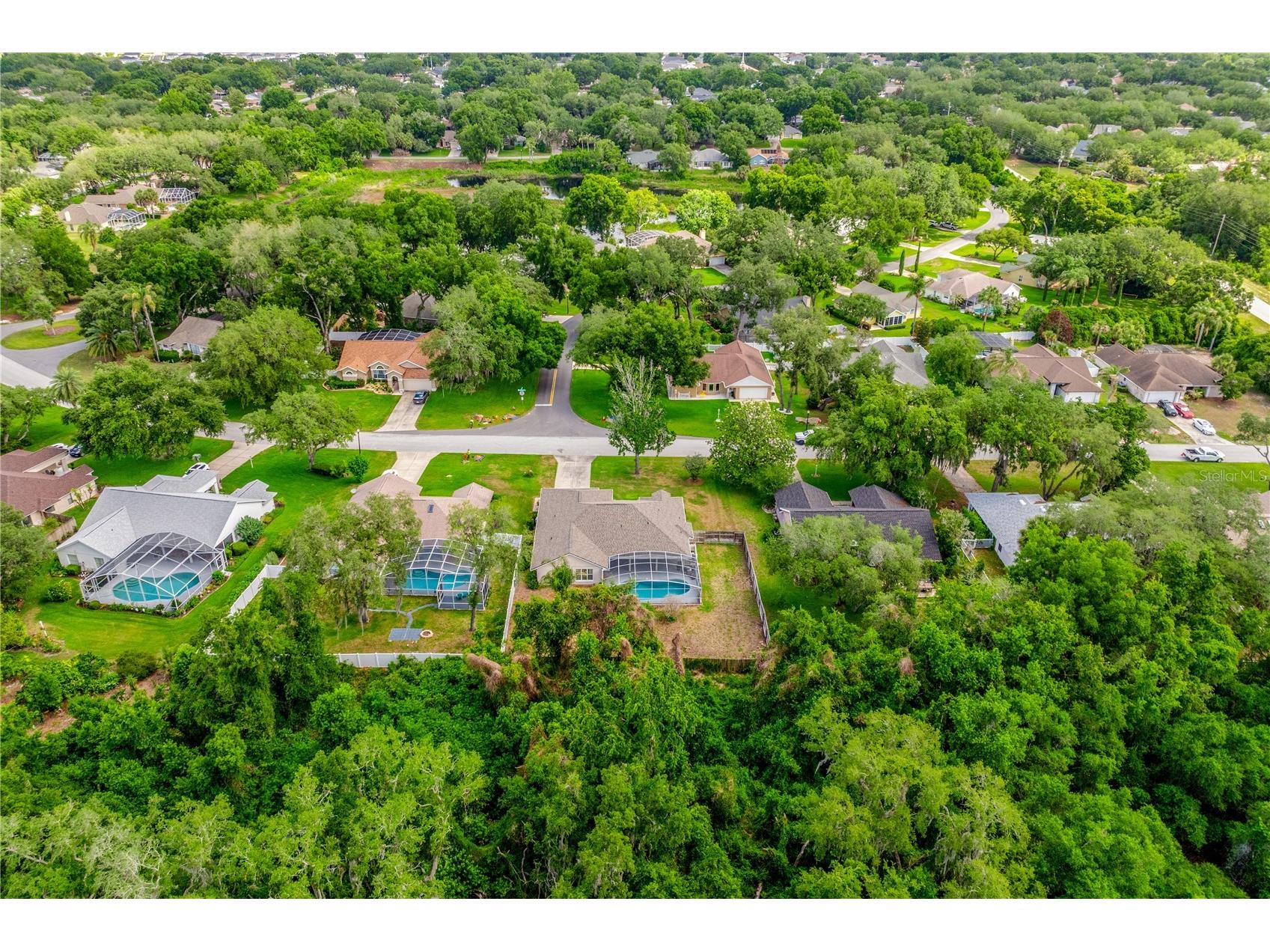 10126 Silver Bluff Drive Leesburg FL 34788 O6406927 image36