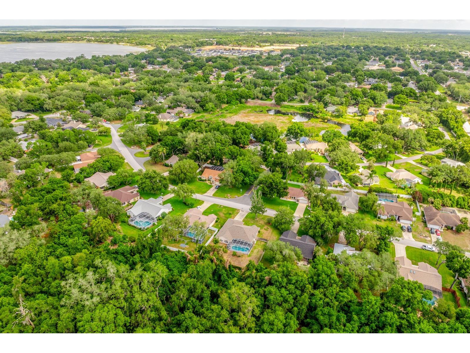 10126 Silver Bluff Drive Leesburg FL 34788 O6406927 image37