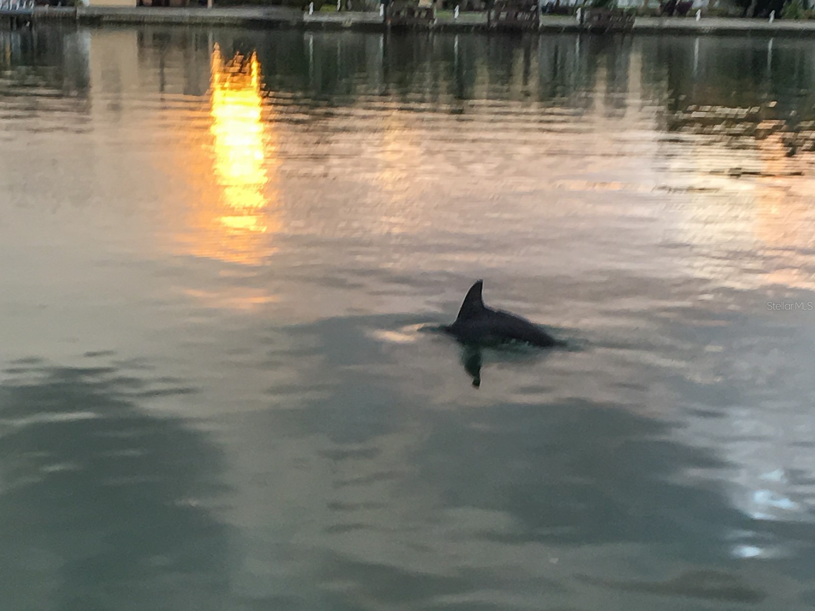 10126 Tarpon Drive Treasure Island FL 33706 TB8478102 image29
