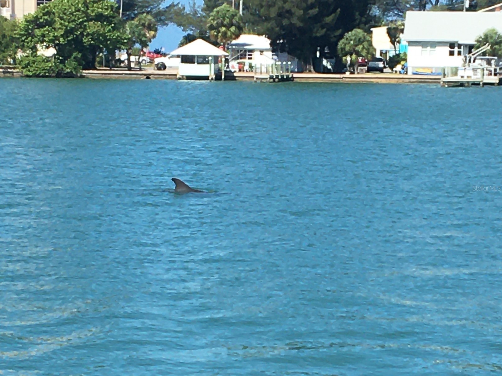 10126 Tarpon Drive Treasure Island FL 33706 TB8478120 image19