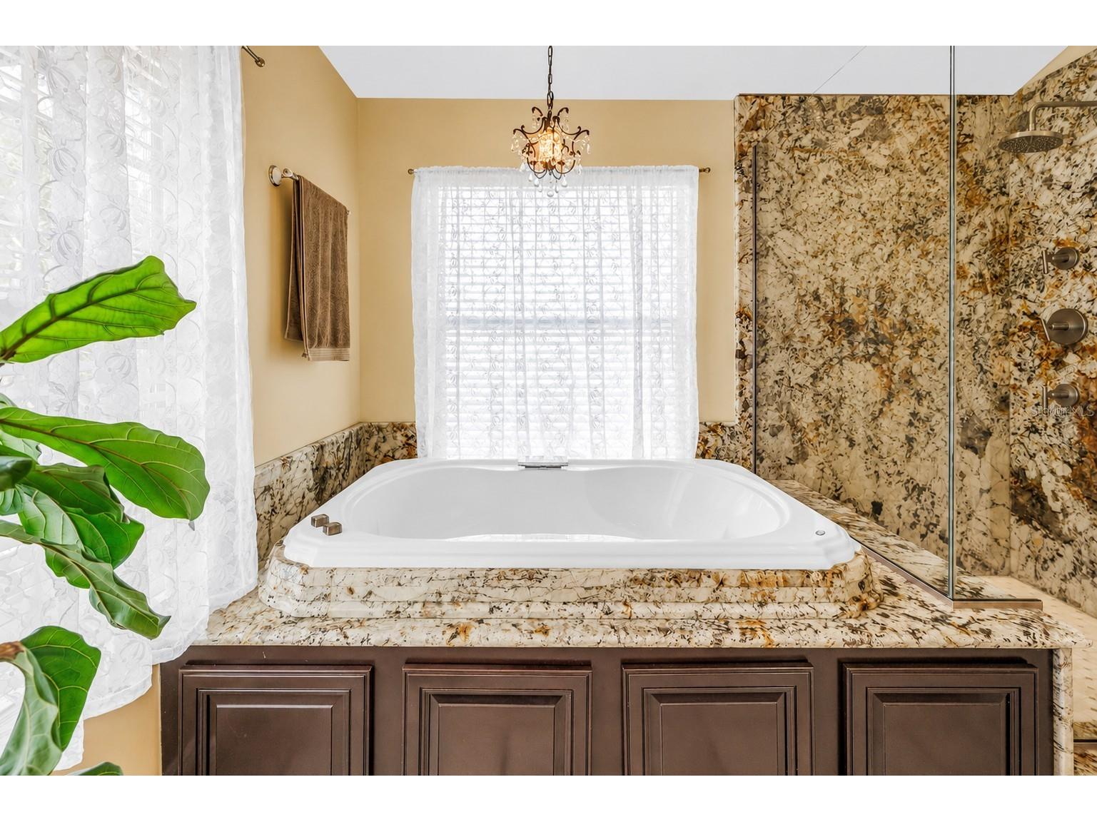 10127 Vista Pointe Drive Tampa FL 33635 TB8517187 image35