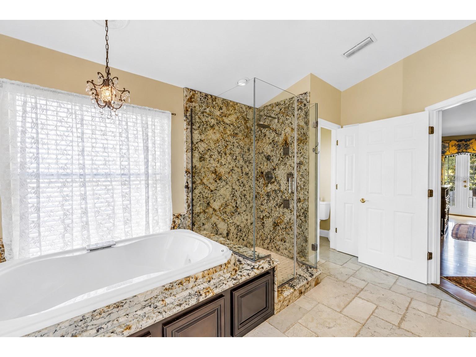 10127 Vista Pointe Drive Tampa FL 33635 TB8517187 image36