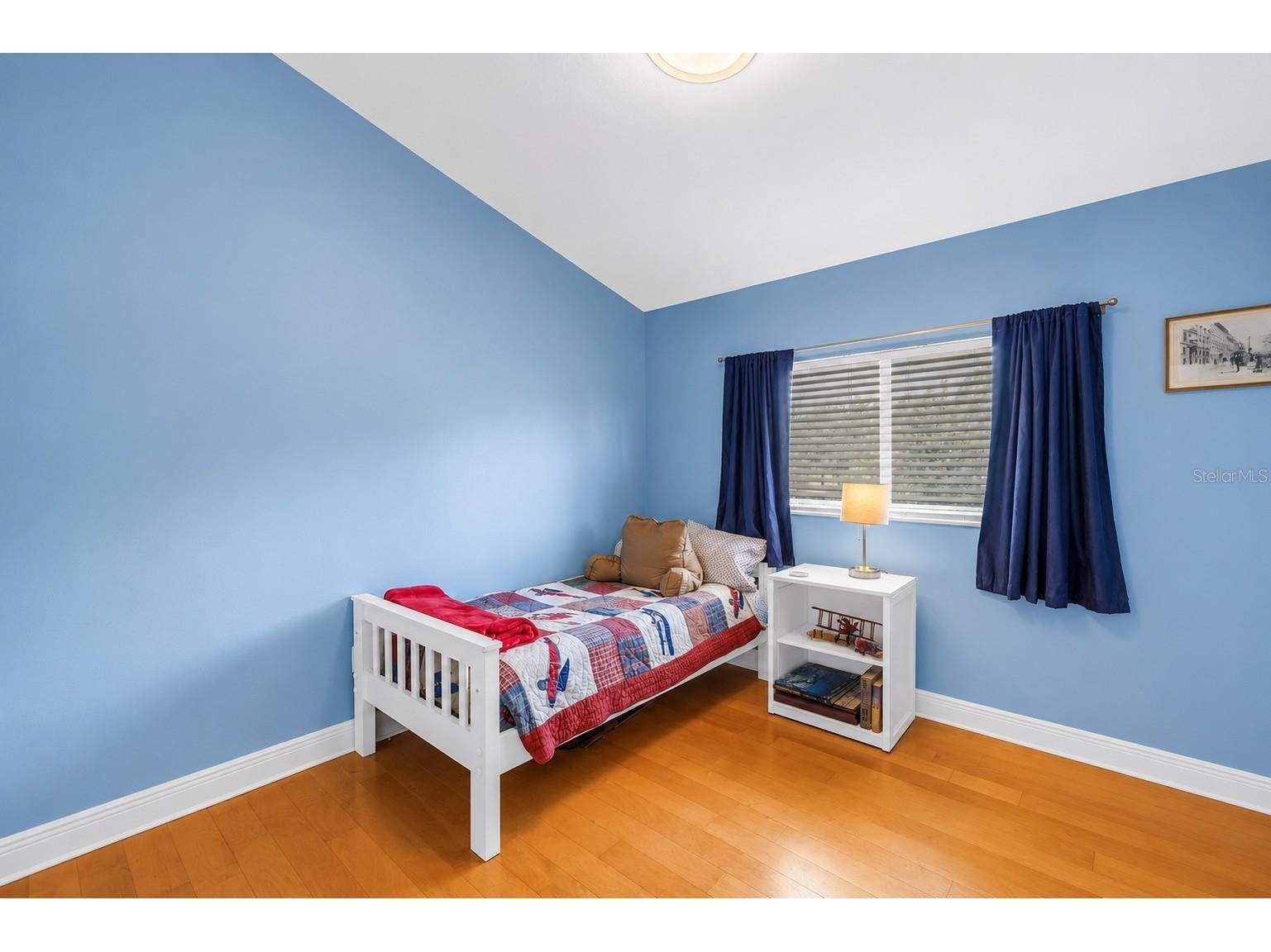 10127 Vista Pointe Drive Tampa FL 33635 TB8517187 image41