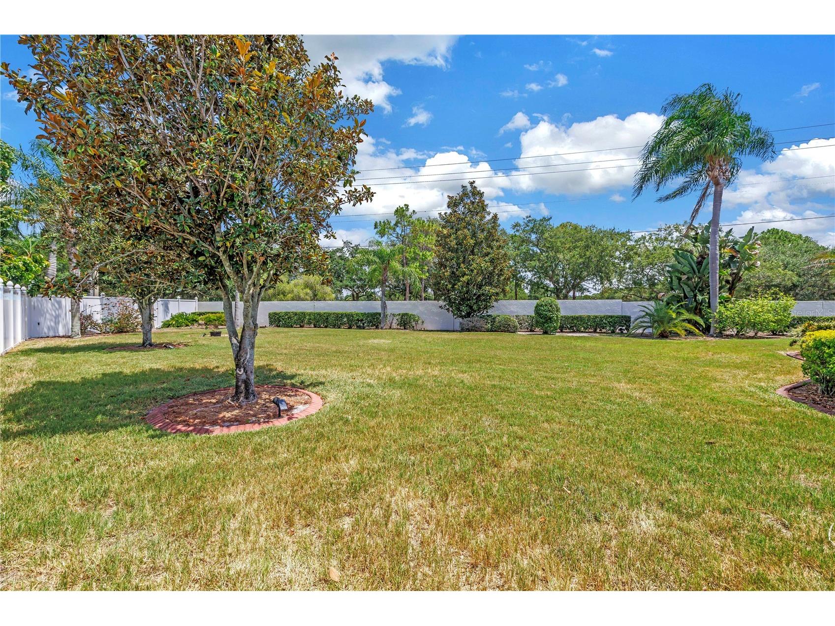 10127 Vista Pointe Drive Tampa FL 33635 TB8517187 image68