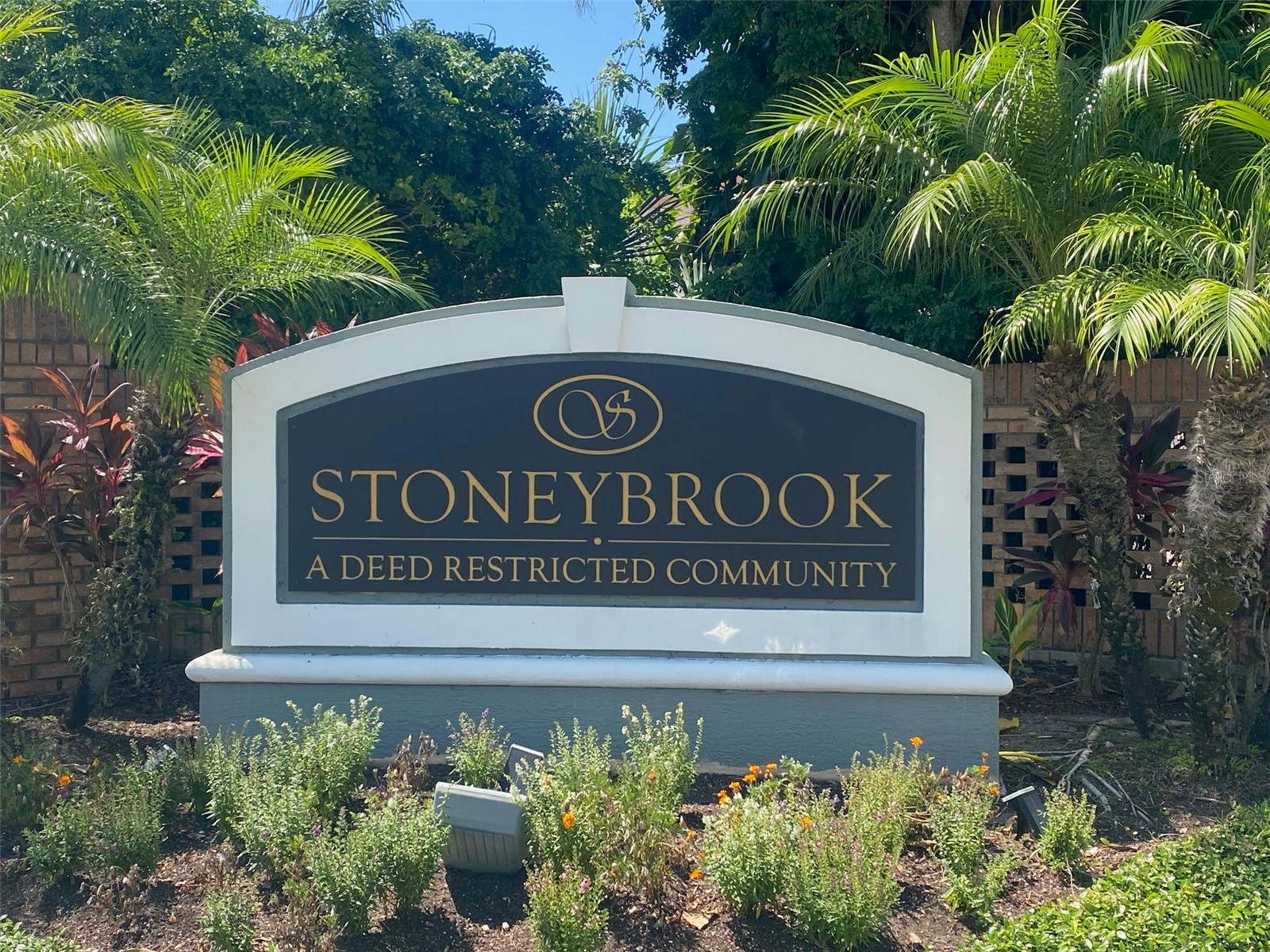 10127 Vista Pointe Drive Tampa FL 33635 TB8517187 image76