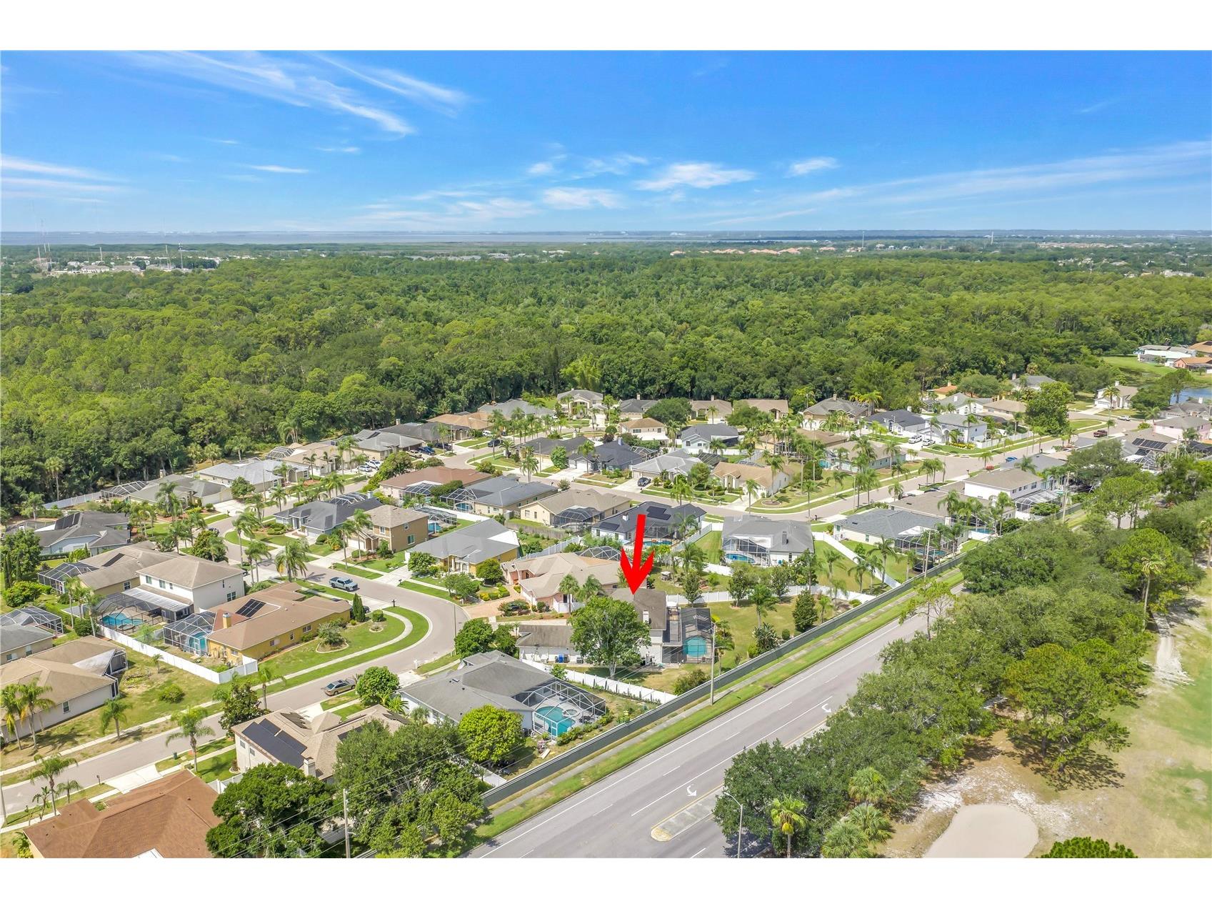 10127 Vista Pointe Drive Tampa FL 33635 TB8517187 image78
