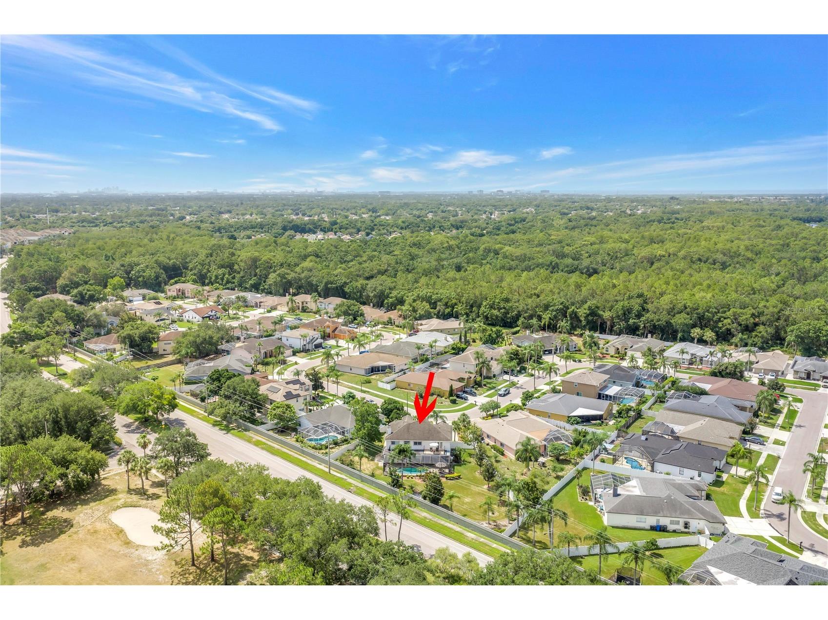 10127 Vista Pointe Drive Tampa FL 33635 TB8517187 image81