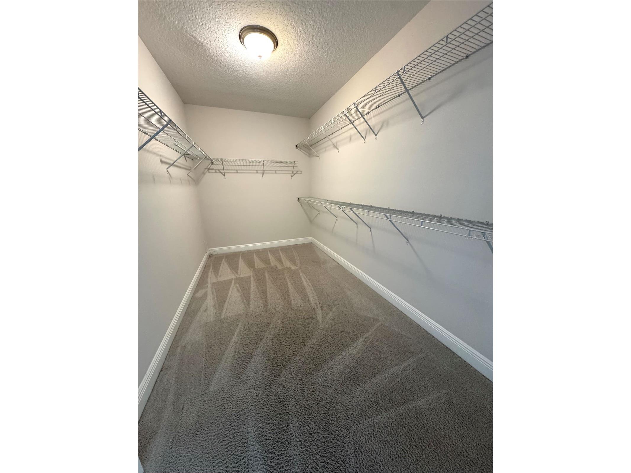 10128 Atwater Bay Drive Winter Garden FL 34787 O6411115 image27