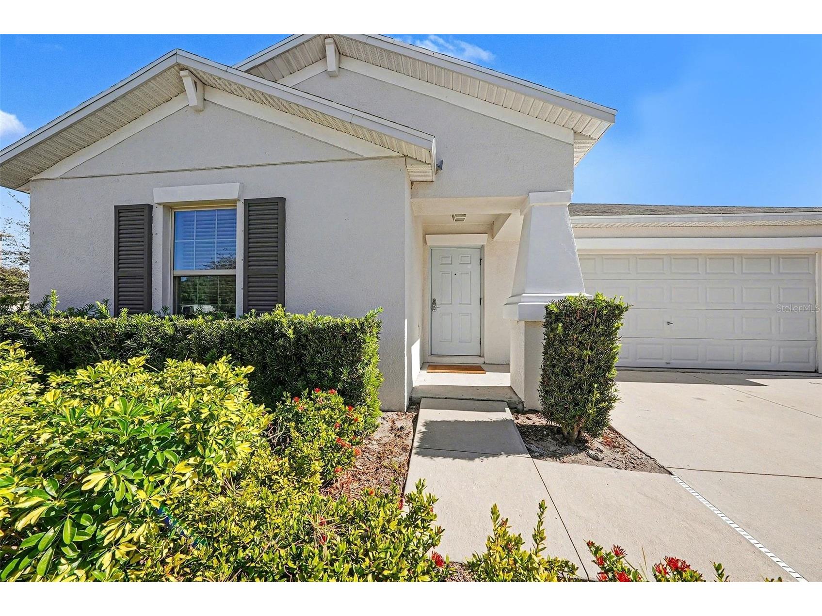10128 Crested Fringe Drive Riverview FL 33578 TB8470041 image1