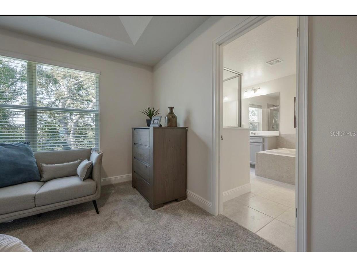 10128 Newel Valley Loop Riverview FL 33569 TB8502538 image11