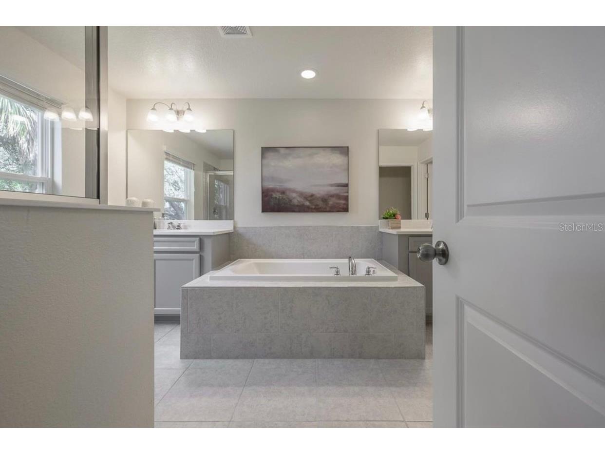 10128 Newel Valley Loop Riverview FL 33569 TB8502538 image12