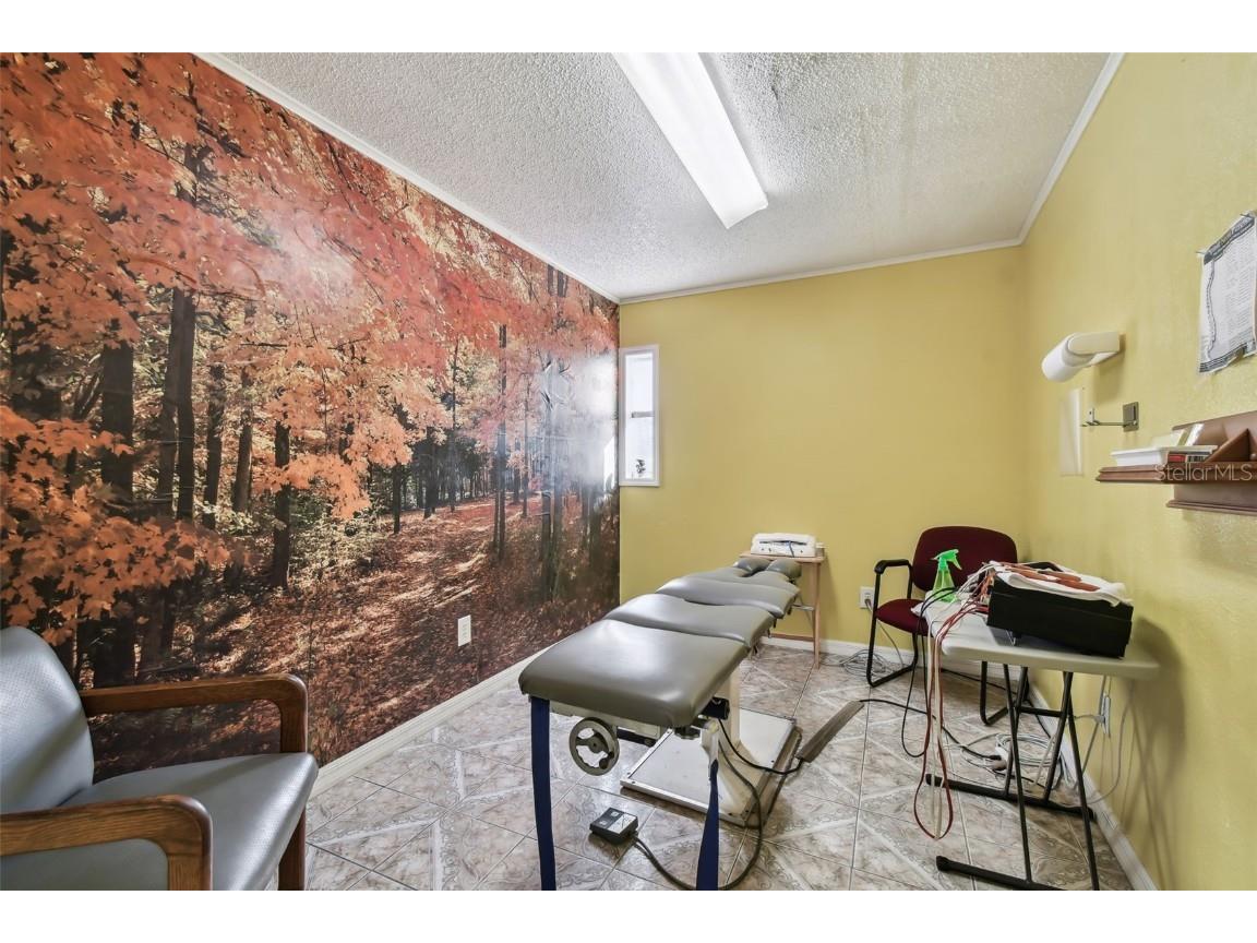 10129 Little Road New Port Richey FL 34654 TB8348638 image20