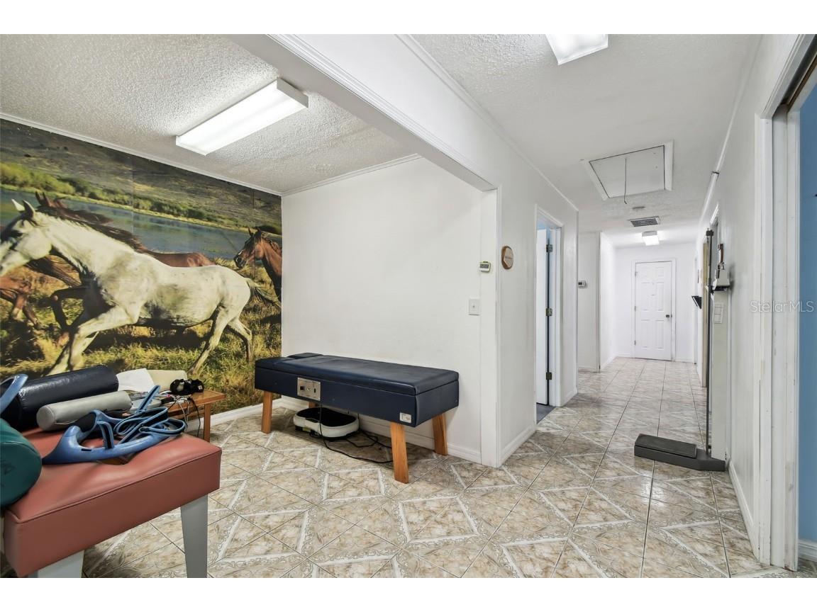 10129 Little Road New Port Richey FL 34654 TB8348638 image26