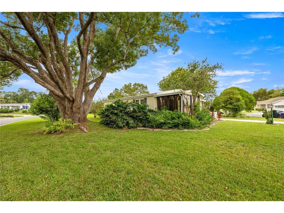 1013 Ann Avenue Lady Lake FL 32159 OM709854 image20