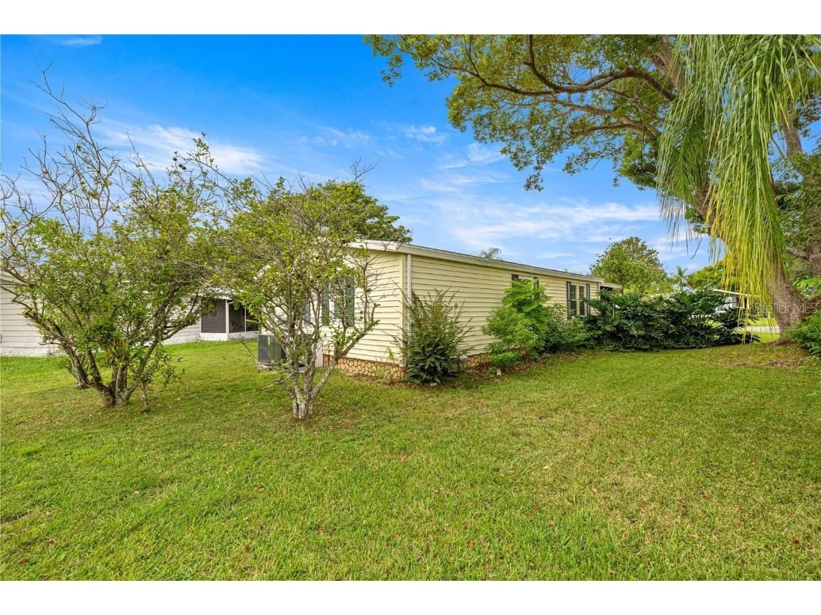 1013 Ann Avenue Lady Lake FL 32159 OM709854 image21