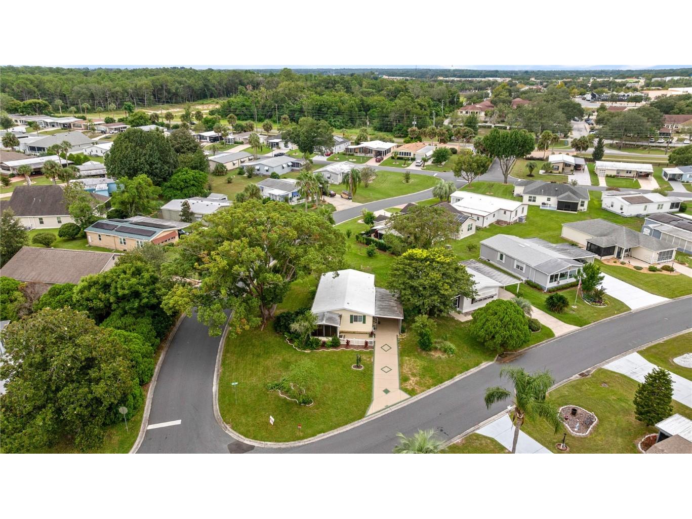 1013 Ann Avenue Lady Lake FL 32159 OM709854 image22