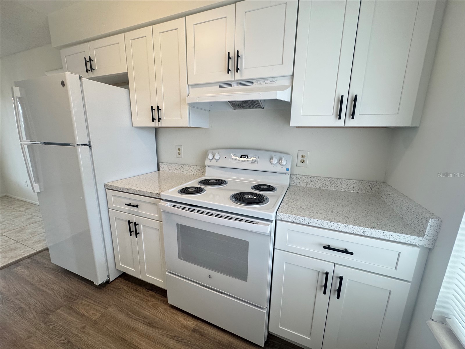 1013 Arizona Court Ocoee FL 34761 O6409846 image8