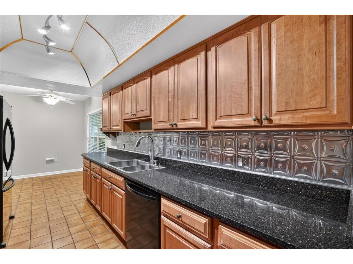 1013 Black Knight Drive Valrico FL 33594 TB8524003 image10