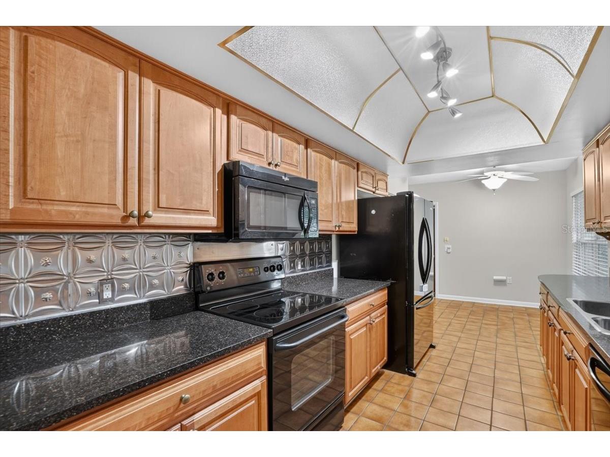 1013 Black Knight Drive Valrico FL 33594 TB8524003 image11
